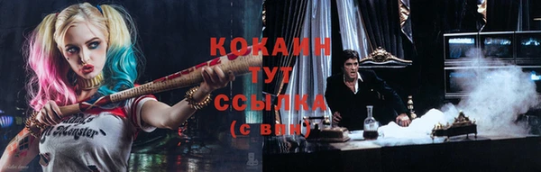 индика Горнозаводск