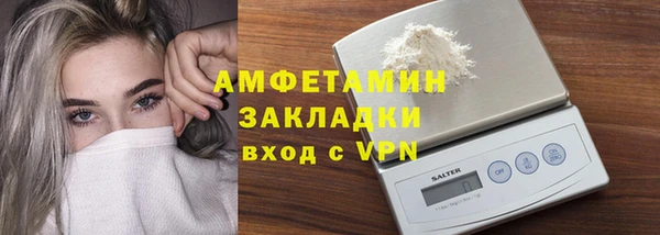 индика Горнозаводск