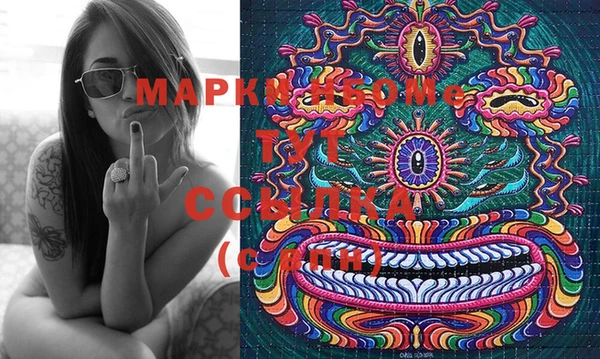 индика Горнозаводск