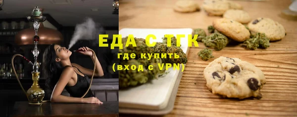 индика Горнозаводск