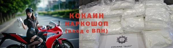 индика Горнозаводск