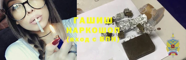 индика Горнозаводск