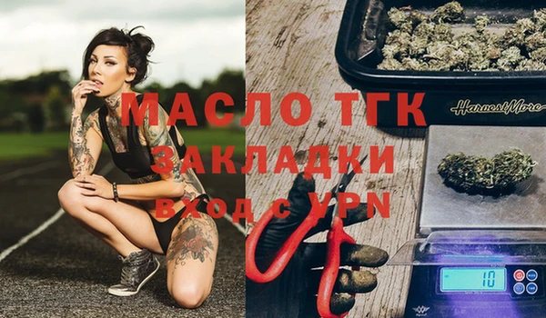 индика Горнозаводск