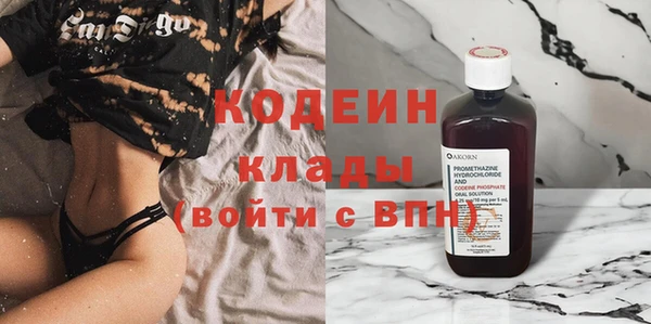 индика Горнозаводск