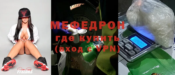 индика Горнозаводск