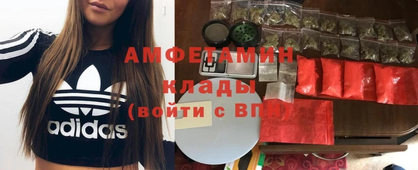индика Горнозаводск