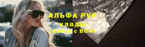 индика Горнозаводск