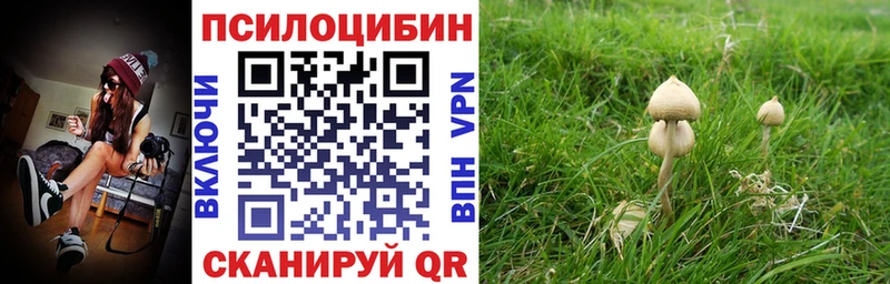 ссылка на мегу ссылка  цены наркотик  Ессентукская  Галлюциногенные грибы мухоморы 